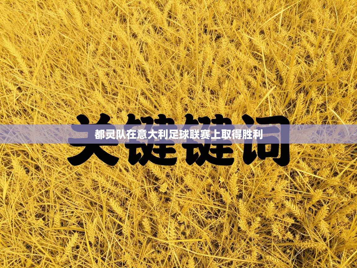 都灵队在意大利足球联赛上取得胜利  第2张